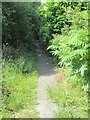 Footpath - Lee Moor Road