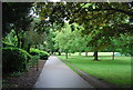 Path in Lammas Park