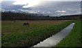 Canal feeder near Brancliffe grange.