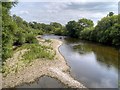 SE2996 : River Swale at Great Langton by David Dixon