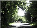 Through the trees entering Helston