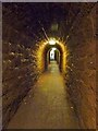 SX9371 : The Ness tunnel, Shaldon by Derek Voller