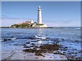 NZ3575 : St Mary's Island and Lighthouse by David Dixon