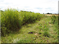 Fields by Harris Green Farm