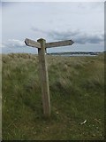 SS4531 : Footpath sign on Grey Sand Hill by David Smith
