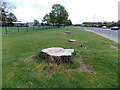 Stumps at the edge of Mill Lane, Caldicot