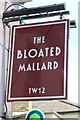 The Bloated Mallard sign