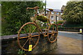 SD9324 : Tour de France sculpture, Todmorden, May 2014 by Christopher Hilton