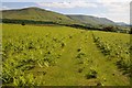 Northern escarpment of the Black Mountains