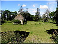 Ruined farmhouse, Kilstrule