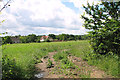 Meadow south of Blyford Lane