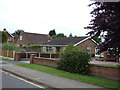 Houses on Windsor Road, Crowle