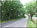 Canterbury Road, near Herne Common