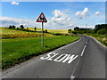 H3687 : Derrpark Road, Milltown by Kenneth  Allen