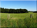 Coolaghy Townland