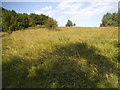 Whitings Hill open space, Barnet