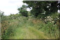 Bridleway to Worthenbury