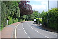 Calverley Park Gardens