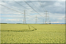 SE8518 : Power lines crossing farmland near Garthorpe by Trevor Littlewood