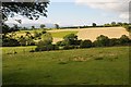 SO2348 : Farmland near Pentregrove by Philip Halling