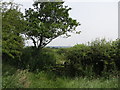 Stile near Butcher Fold