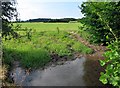 Meadow beside Tippet