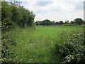 Footpath near Tallarn Green