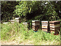 TM2691 : Bee hives beside the footpath by Evelyn Simak
