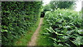 Footpath near Grange Farm