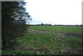 Farmland south of Ashford Rd