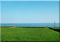 Hay fields between the A2 and the sea at Annalong