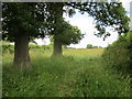 Footpath to Cherryhill