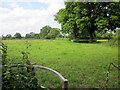 Footpath to Shocklach