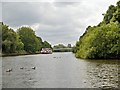 SE6050 : River Ouse, Clementhorpe by David Dixon