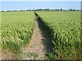 Path from Moor Lane