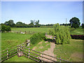 More fields near Luntley