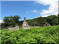 The derelict Ffwrwm Farm near Machen