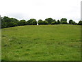 M4786 : Farmland near Aghamore by David Purchase