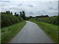 Minor road towards Normanby le Wold