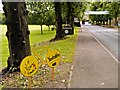 The Avenue into Masham