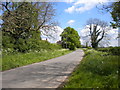 Gonalston Lane north of Lowdham