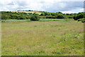 The Hayle river valley