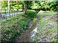 Footsteps down the mill stream, West Meon