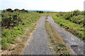 Track to Luce Bay near Port William