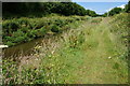 Path by the River Hayle