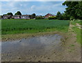 Leicester Forest East farmland