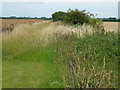 Route of former railway line near Grunty Fen Farm