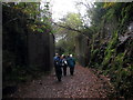 Rheilffordd Glofaol Tonmawr Mineral Railway