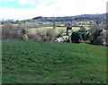 Houses in a valley near Painswick