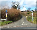 Wragg Castle Lane, Pitchcombe